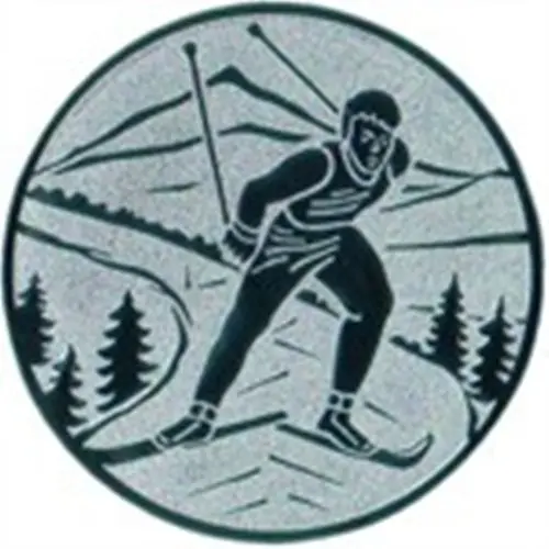 Emblem Ski Langlauf Skating