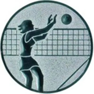 Emblem Volleyball Damen kaufen