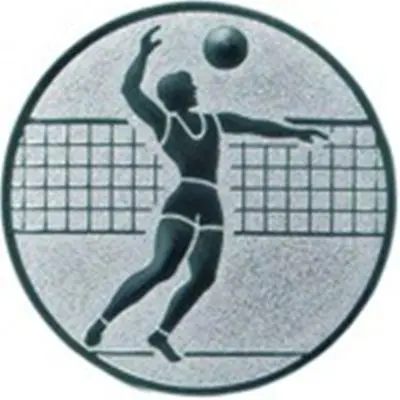 Emblem Volleyball Herren kaufen